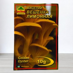 Міцелій гриба Глива лимонна, 10г